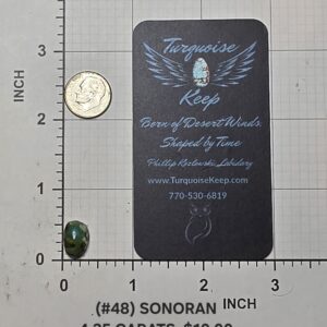 Sonoran turquoise cabochon Stone #48