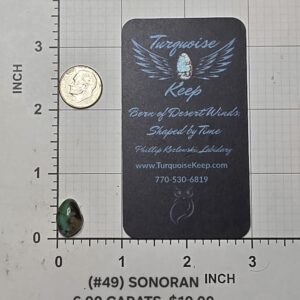 Sonoran turquoise cabochon Stone #49