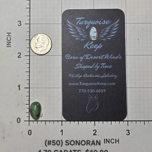 Sonoran turquoise cabochon Stone #50