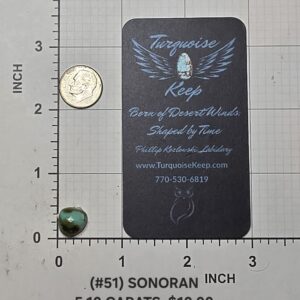 Sonoran turquoise cabochon Stone #51